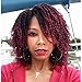AISI QUEENS Short Dreadlock Curly Wigs for Black Women Braided Wigs African American Wig Heat Resistant Synthetic Twist Wig