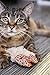 Petlinks Fresh Catch Refillable Plush Cat Toy with Catnip Tube - Tan, One Size