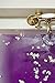Grace & Stella Organic Bath Bombs (12 XL) - Vegan, Natural With Essential Oils - Relaxing Valentines Gifts for Women