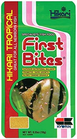 first byte baby food