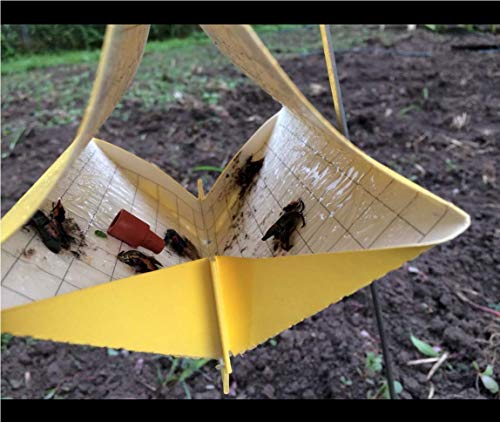 VivaTrap! Squash Vine Borer Moth Trap + Lure (2 Pack) - Thumbnail 2