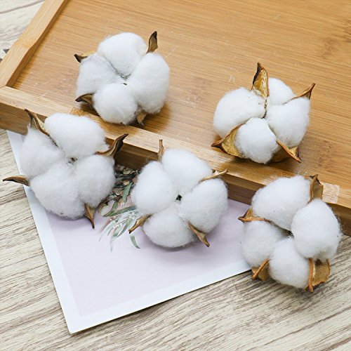 Buorsa 10 Pcs Dried Cotton Bolls White Cloud Cotton Balls Cotton Boll Decor