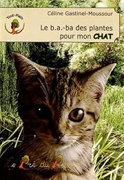 Le  b-a ba des plantes pour mon chat