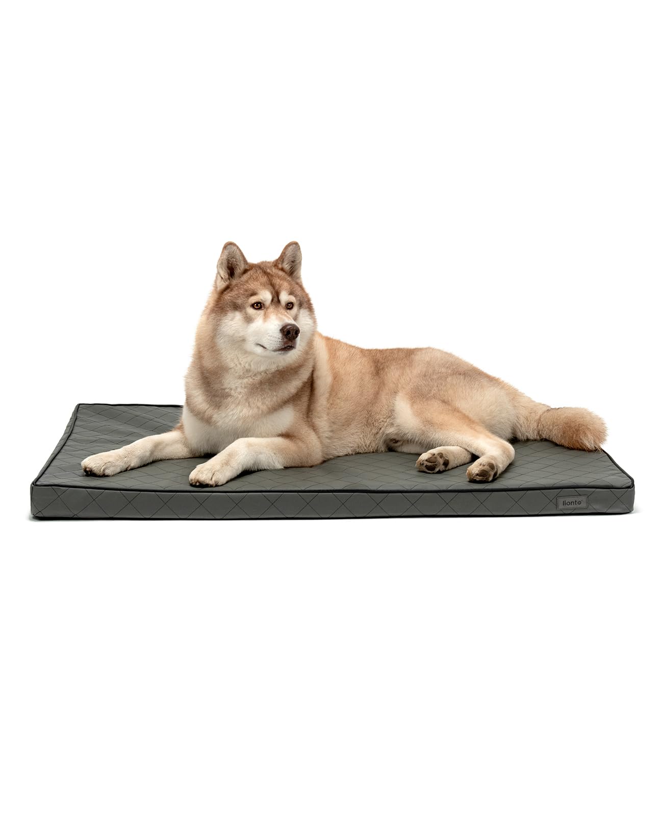 lionto Orthopaedic dog mat with memory foam, joint-friendly dog cushion made of easy-care imitation leather, 118x80 cm, quilted lying mat with removable cover and non-slip coating, grey