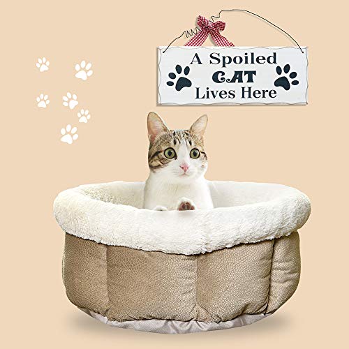 Wood Cat Sign Decor Cat Lover Sign, Hanging Pet Sign for Home Decor, Decorative Plaque Funny Cat Sign with Saying A Spoiled Cat Lives Here, Cat Wall Art Kitten Sign Cat Lover Gift 4X10in