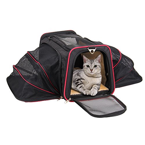 Airline Approved Cat Carrier โ KiddyWoof Small Pet Carrier Travel Dog
Purse Bag, Portable Soft Sided Cat Carrier with Two Side Expandable for
Little Animals, Rabbit, Kitties, Kitten and Puppy Airline Approved Cat Carrier โ KiddyWoof Small Pet Carrier Travel Dog
Purse Bag, Portable Soft Sided Cat Carrier with Two Side Expandable for
Little Animals, Rabbit, Kitties, Kitten and Puppy