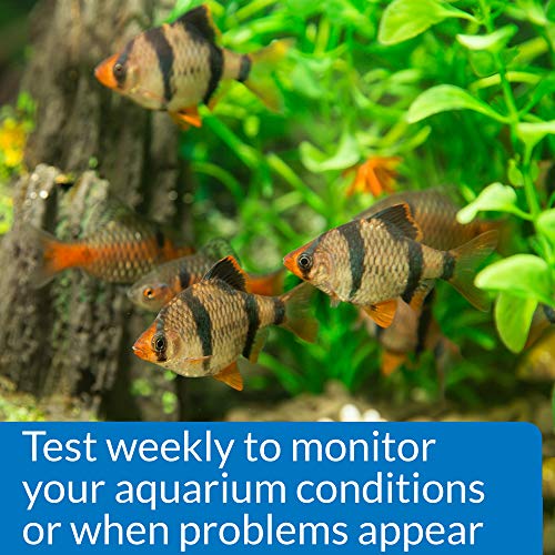 3 API+Phosphate+Test+Freshwater+Saltwater