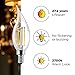 Gordon & Bond LED Vintage Candelabra Light Bulbs (6) - Edison Filament Flame Tip - 4 Watt - Dimmable - UL Listed - 400 Lumen - Warm 2700K Color - E12 Bulb Base
