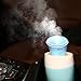 ELENKER Portable Cool Mist Water Humidifier with Auto Shut-off, USB Cabel( Blue )