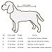 PUFF-N-FLUFF Dog Dryer - Large