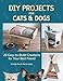DIY Projects for Cats and Dogs: 20 Easy-to-Build Creations for Your Best Friend by Armelle Rau, Pierre Legrix