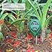 KETOTEK Soil PH Meter, Soil Moisture Meter, Gardening Light Tester 3-in-1 Soil Test Kit for Farm, Patio, Garden, Lawn, Plant and Soil Culture. (Green)thumb 1