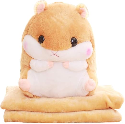 Amazon - 51GfY8h9fPL. AC SX522 