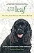 Dog Named Leaf: The Hero From Heaven Who Saved My Life by 