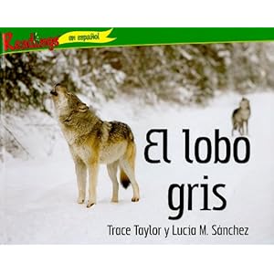 El lobo gris / The Gray Wolf (Animales depredadores de Norteamerica (Predators of North America)) (Spanish Edition)