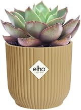 elho Vibes Fold Round Mini Pot 9.3 cm Yellow 100% Recycled Plastic view 8