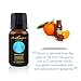 Sweet Orange Essential Oil - 100% Pure, For Professional Aromatherapists (for Home Use, see Warnings) 15 ml