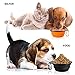 2-Pack Collapsible Travel Dog Bowl,MAXIN Silicone Cat Bowl Portable Pet Food Water Bowl, Foldable Expandable Cup Dish for Pets, FDA Approved.[ Black and Orange ]