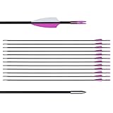 LWANO 31" Training Arrows-Archery Practice Target