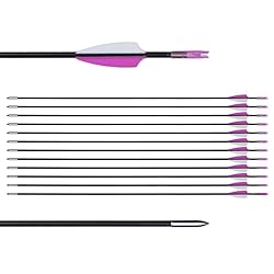 LWANO 31" Training Arrows-Archery Practice Target