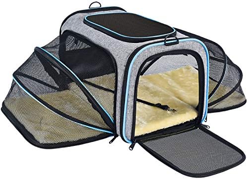 airline approved pet carriers in cabin