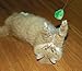 Cat Dancer Products Catnip Interactive Cat Toy for Exercise, 2 Toys in 1, Double Ended for Twice The Fun