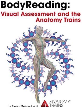 Clinical Neurodynamics: 9780750654562: Medicine & Health Science
