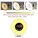 IREALIST Touch Control Wake-Up Light Alarm Clock with Sunrise Sunset & Snooze Function