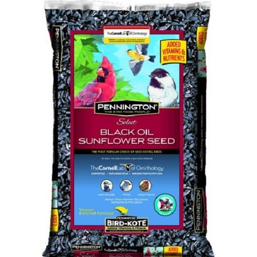 Pennington Select Black Oil Sunflower Seed Wild Bird Feed, 40 lbs