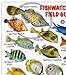 Fishwatchers Reef Field Guide: Fishes of Tropical Atlantic & Caribbean ID Card