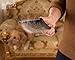 Epica Self-Cleaning Slicker Brush with Pivoting Head for Dogs