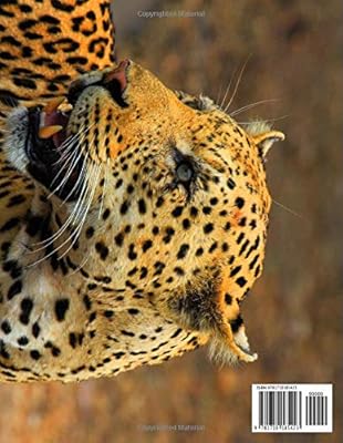 Animali Africani 100 Bellissime Foto Animali Africani Animali Selvaggi Libro Fotografico Straordinario Animali Africani Animali Selvaggi Libro Fotografico Animali Italian Edition By Amazon Ae