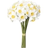 Mandy's 12pcs White Artificial Daffodils Flowers for Party Home Decoration
