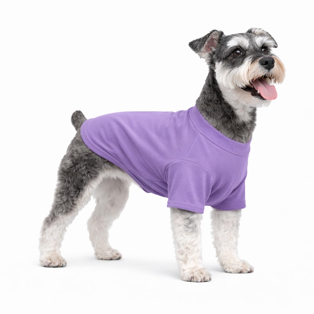 Lovelonglong Pet Clothing Dog Costumes Basic Blank T-Shirt Tee Shirts for Small Dogs Violet L