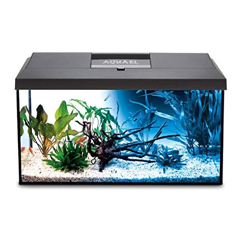 Aquael Leddy Black Tropical Aquarium Set 60cm 54L