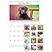 AT-A-GLANCE Wall Calendar 2017, Monthly,  15-1/2 x 22-3/4