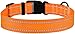CollarDirect Reflective Dog Collar, Safety Nylon Collars for Dogs with Buckle, Outdoor Adjustable Puppy Collar Small Medium Large (Neck Fit 12