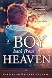 A Boy Back from Heaven