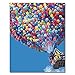 RIHE DIY Oil Painting Paint by Numbers Kits with Brushes and Acrylic Pigment for Adults Kids Beginner - Hot Air Balloon 16x20 Inch(Wooden Framed)