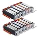 NUINKO 12 Pack Compatible Canon PGI250 PGI-250 CLI251 CLI-251 Ink Cartridge for PIXMA iP8720 PIXMA MG6320 PIXMA MG6620 PIXMA MG7120 PIXMA MG7520 Inkjet Printers PGI250XL PGI-250XL CLI251XL CLI-251XL