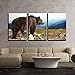 wall26 - 3 Piece Canvas Wall Art - Big Brown Bear (Ursus Arctos) in The Mountain - Modern Home Art Stretched and Framed Ready to Hang - 24