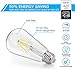 MAXvolador Edison Bulb, Dimmable Vintage LED Filament Light Bulbs Daylight White 5000K, 4W ST64 LED Lights 40W Equivalent, E26 Base, Pack of 12
