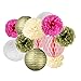 SUNBEAUTY Tissue Paper Pom Pom Flowers Paper Lanterns Wedding Birthday Party Decorations 12pcs