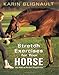 Stretch Exercises for Your Horse: The Path to Perfect Suppleness by Karin Blignault