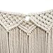 Bioexcel Macrame Wall Hanging - Decorative Wall Art Boho Woven Wall Hanging for Modern Appartments Room Decor - 15''W x 35''L