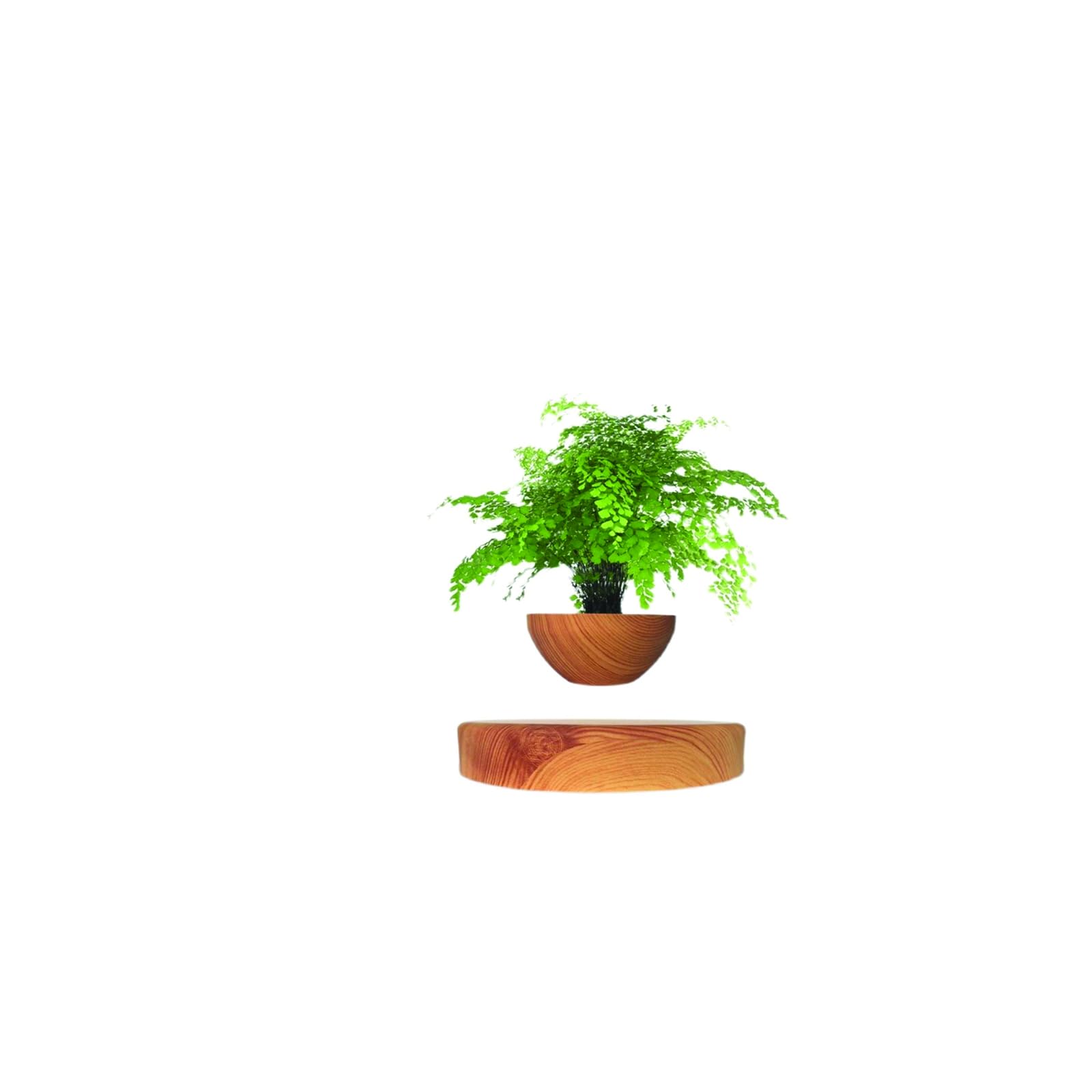 Photo 1 of LMingKun Planting Flower pots,Levitating Plant Pot,Magnetic levitation,Floating Plant Pot,Floating Plant,Hanging Flower pots,Suspendded Flowerpot,Hanging planters for Indoor Plants
