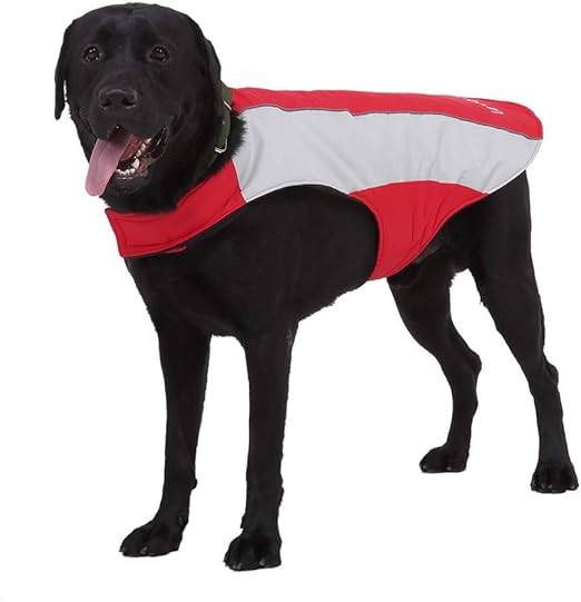 thunder shirts for dogs amazon