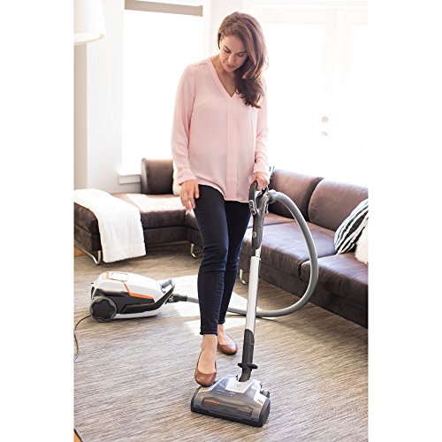 Electrolux EL7085B Ultraone Deluxe Canister Vacuum Pricepulse