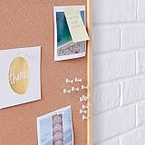 Amazon Basics Push Pins Clear Head 200 Count Steel Point Office & Classroom view 5