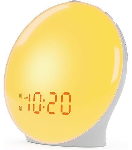 Philips HF3510 Wake-Up Light, White : Amazon.ca: Home